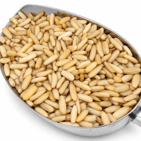 Afghan Pine Nuts – Shelled Kernels - Safi Brothers Trading
