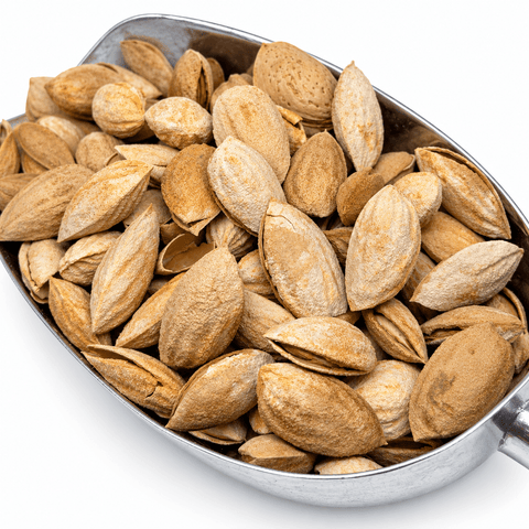 Afghan Almonds in Shell – Fresh Whole Almonds - Safi Brothers Trading