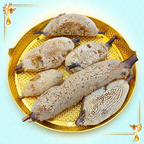 Wild Sidr Honeycomb – Fresh Comb on Natural Branch