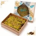 Tamra Taghmeesa – Sukkari Dates 500g - Safi Brothers Trading