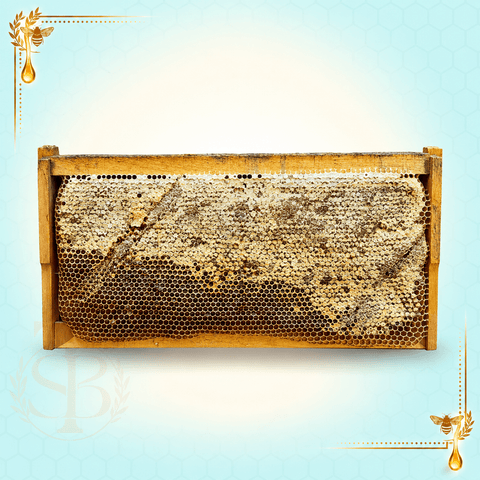 Sidr Honeycomb – 100% Pure Natural Comb Honey 2.3 kg - Safi Brothers Trading