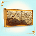 Sidr Honeycomb – 100% Pure Natural Comb Honey 2.3 kg - Safi Brothers Trading